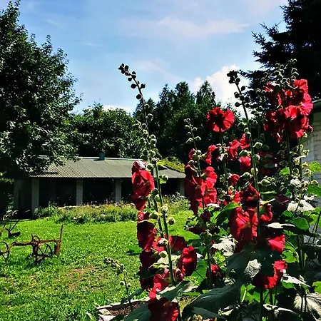 Zielona Samotnia Apartamento *