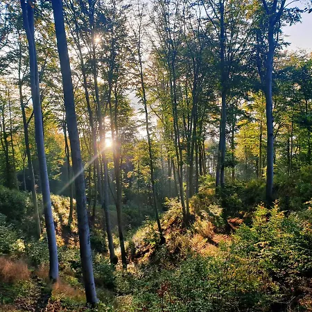 Zielona Samotnia * Czaplinek