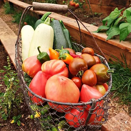 Apartamento Zielona Samotnia