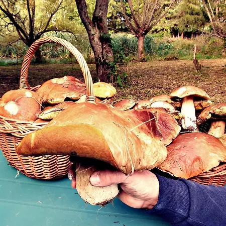 Apartamento Zielona Samotnia *