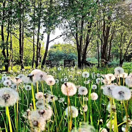 Apartamento Zielona Samotnia Czaplinek