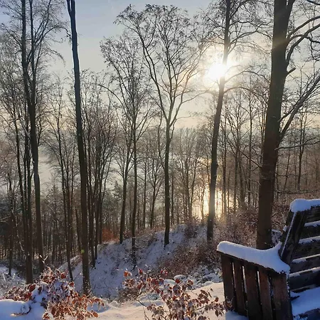 Apartamento Zielona Samotnia *