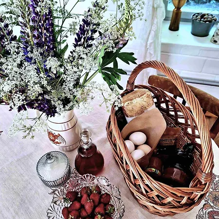 Zielona Samotnia Apartamento Czaplinek