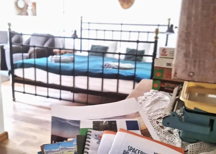 Zielona Samotnia Апартаменты *