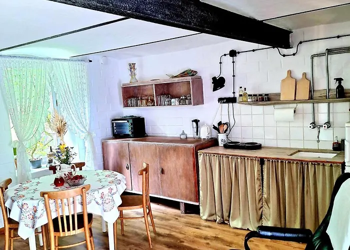 Апартаменты Zielona Samotnia Чаплинек